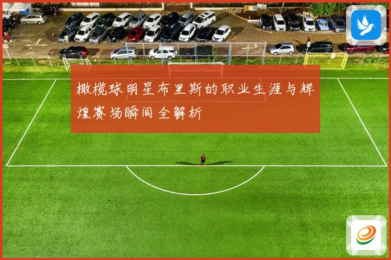 橄榄球明星布里斯的职业生涯与辉煌赛场瞬间全解析