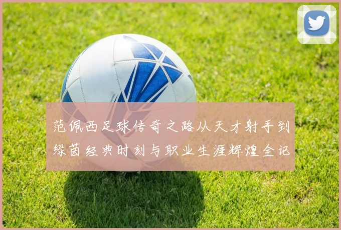 范佩西足球传奇之路从天才射手到绿茵经典时刻与职业生涯辉煌全记录